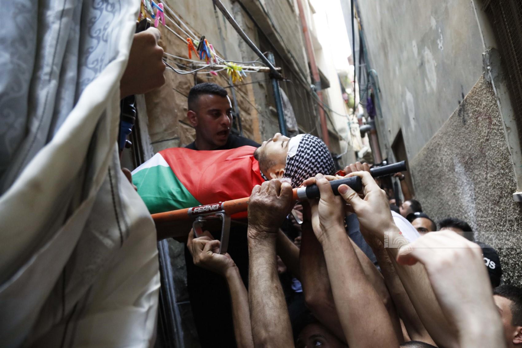 تصوير - محمد منصور/وفا